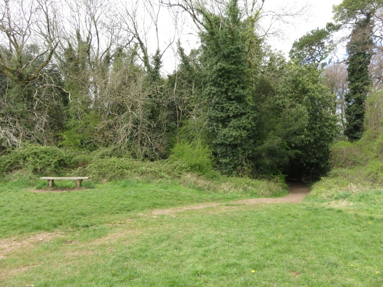 The path down into the woods from Kings Weston Down