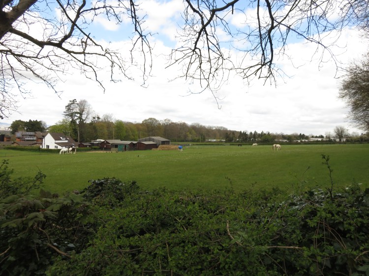 Horse paddock at Kings Weston Road