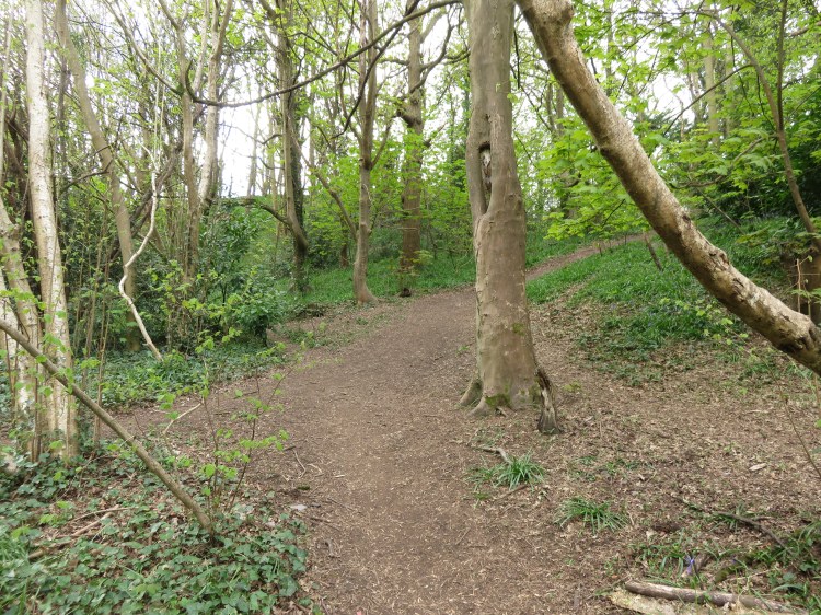 Turn right up the Severn Way Bristol Link