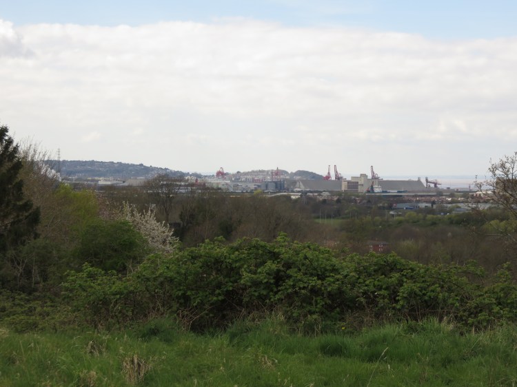 View to the Severn Estuary from Kings Weston