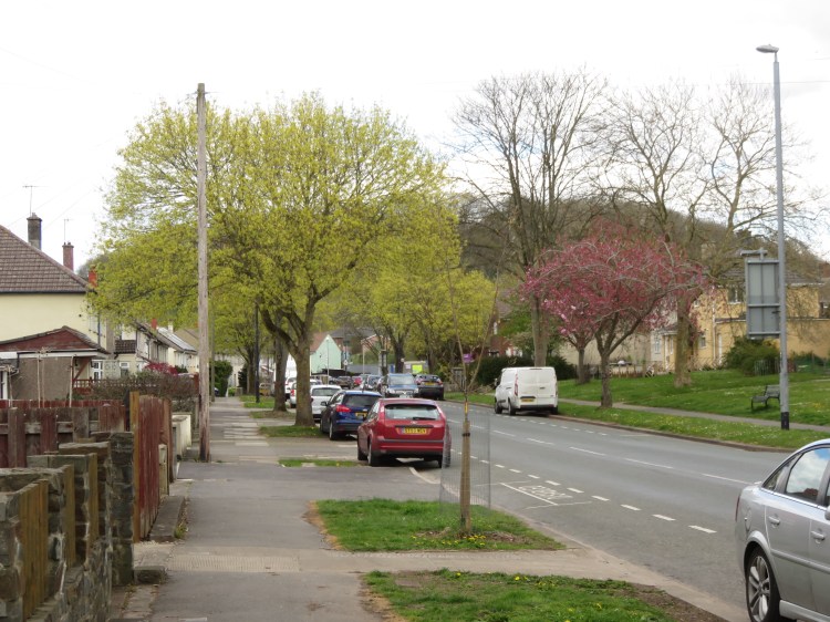 Spring colours in Long Cross
