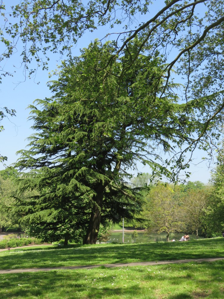View over St. George’s Park