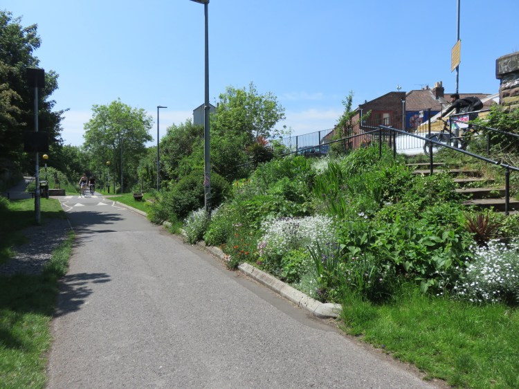 Planting at the Bristol & Bath Railway Path