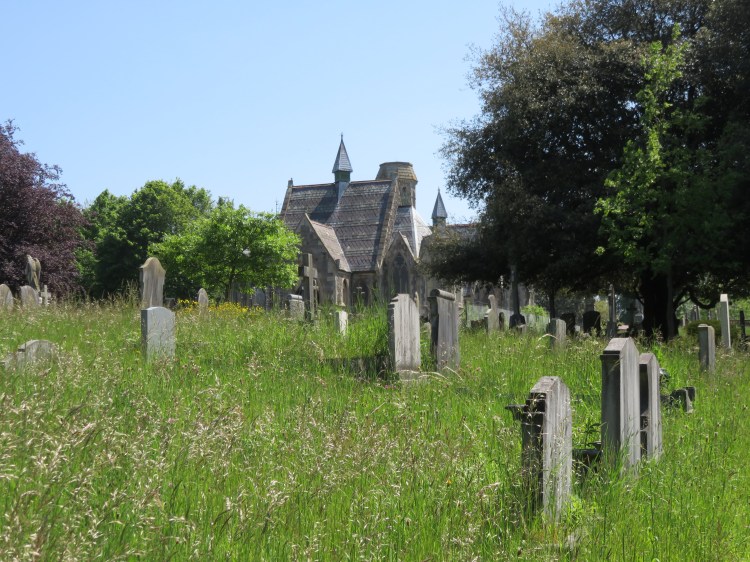 Spring growth in Greenbank Cemetery