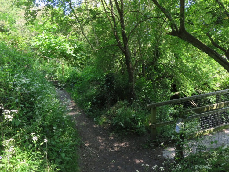 The footbridge in the Coombe Brook valley