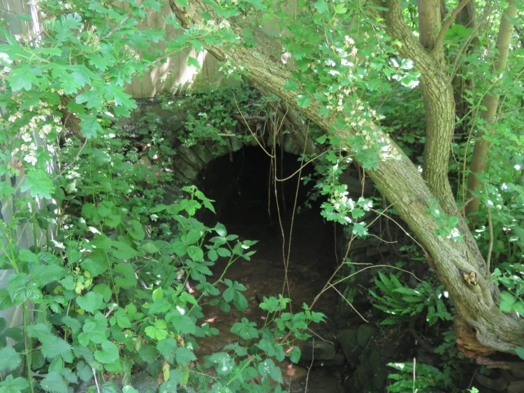 The Coombe Brook culvert at Greens Hill