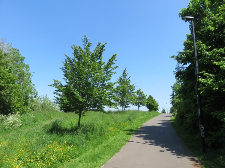 Entering Ridgeway Playing Fields