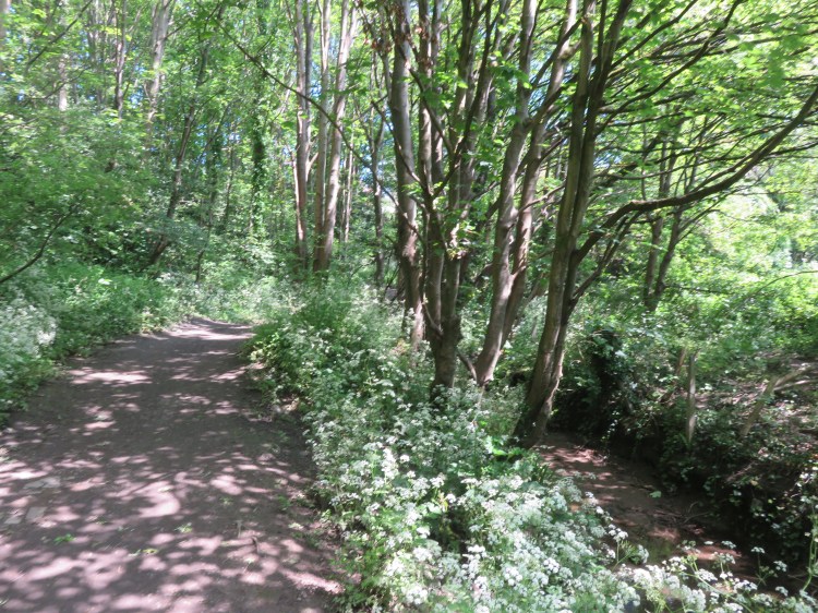 Coombe Brook Nature Reserve
