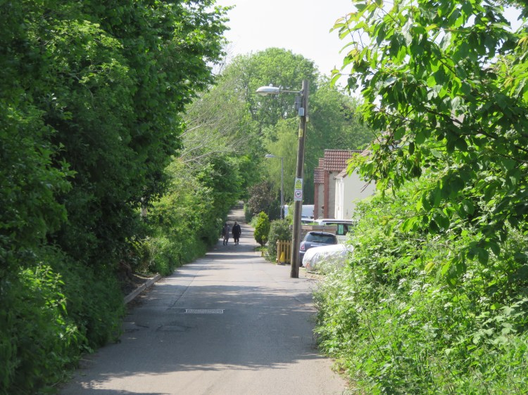 Holly Lodge Road