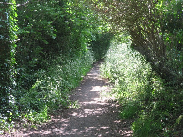 Whitewood Road, Clay Hill