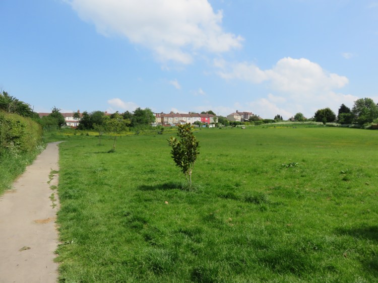 Plummer’s Hill open space, St. George