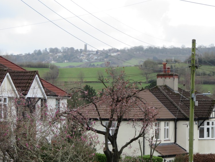 Walk ThirtyEight Long Ashton Mike's Bristol Walks