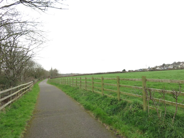 The Festival Way on the approach to Long Ashton