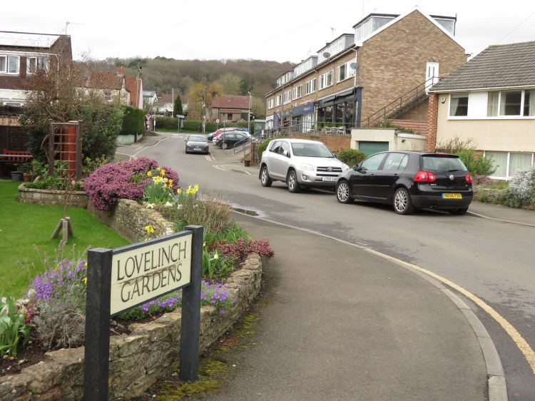 Spring flowers at Lovelinch Gardens, approaching the village centre