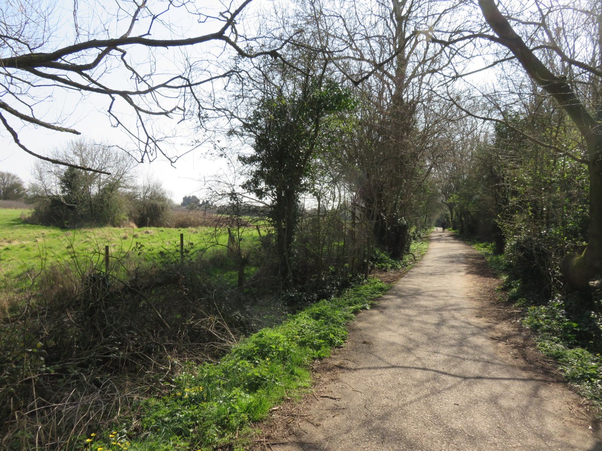Wildlife corridors of southeast&nbsp;Bristol