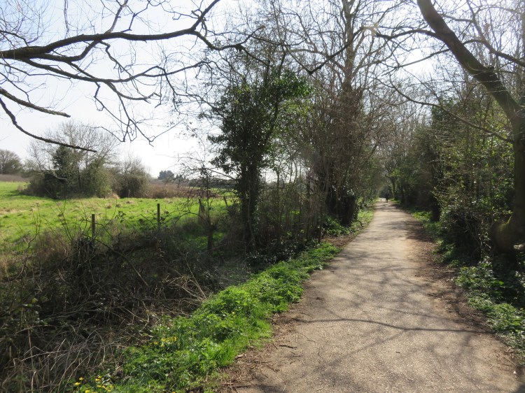 The rural section of the railway path