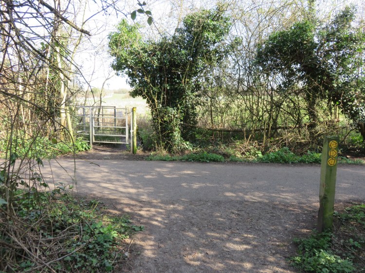 Continue straight across the railway path through a pedestrian gate