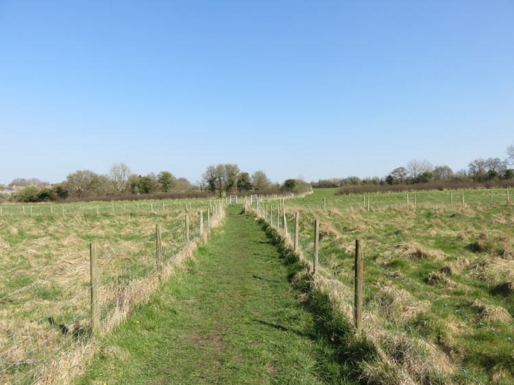 The field path between Whitchurch and Stockwood