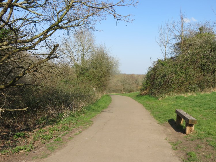 Stockwood Open Space