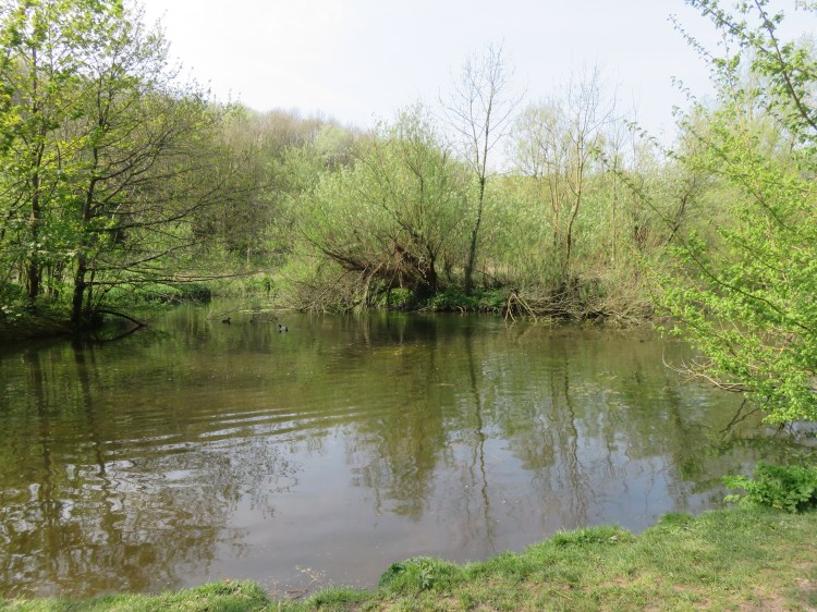 One of the ponds at Eastwood Farm