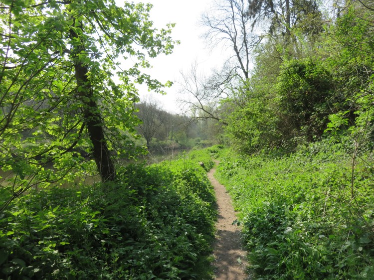 The riverside path beyond Eastwood Farm