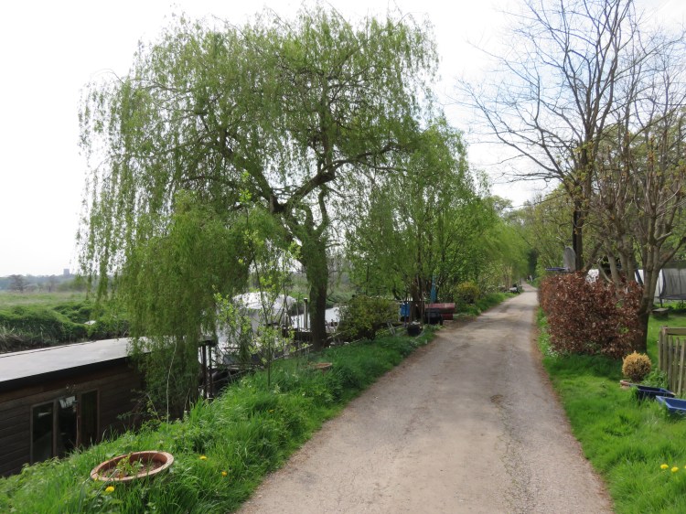 By the riverside at Durley Lane, Keynsham