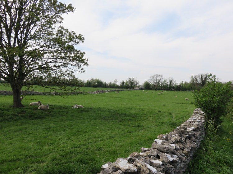 The footpath from Queen Charlton towards Whitchurch