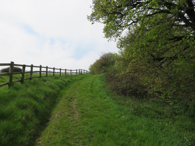 Climb the field and then cross the hedge line