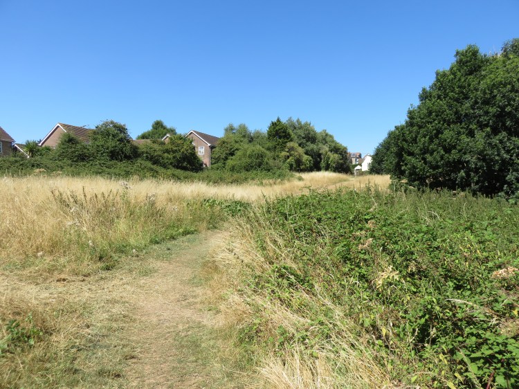 The open space to the rear of Tyler Close