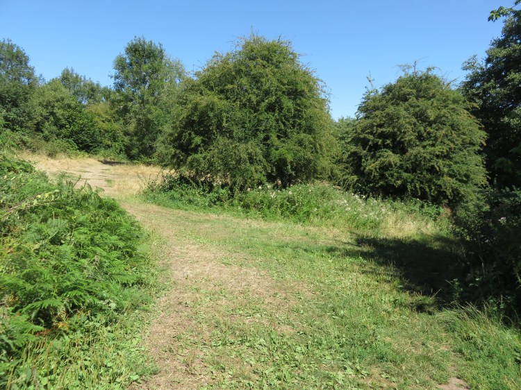 Entering Cock Road Ridge Open Space