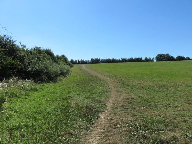 Climb the first field with the field boundary to your left