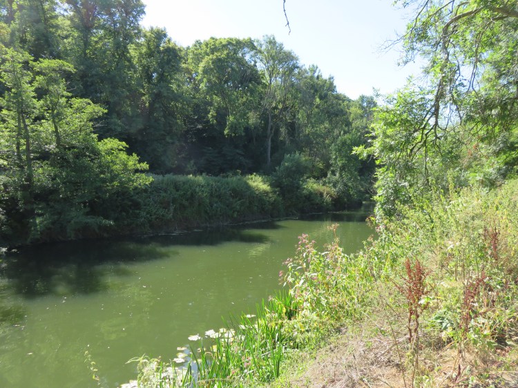 The River Avon at Hanham