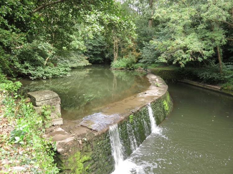 A weir in Snuff Mills, Frome Valley