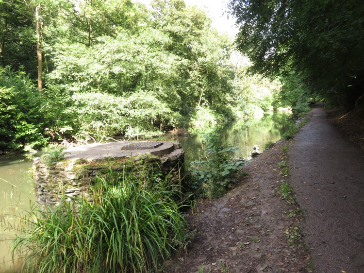 River Frome at Oldbury Court Estate
