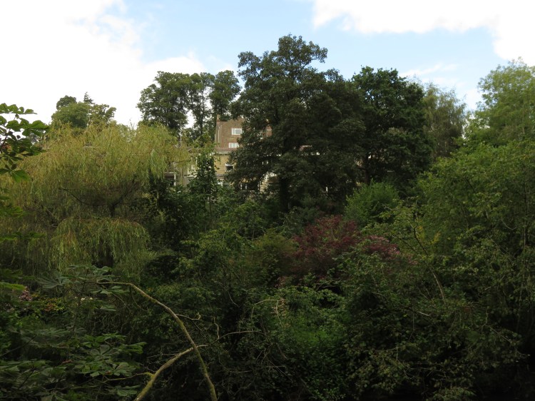 The houses of Frenchay are glimpsed on the far side of the valley