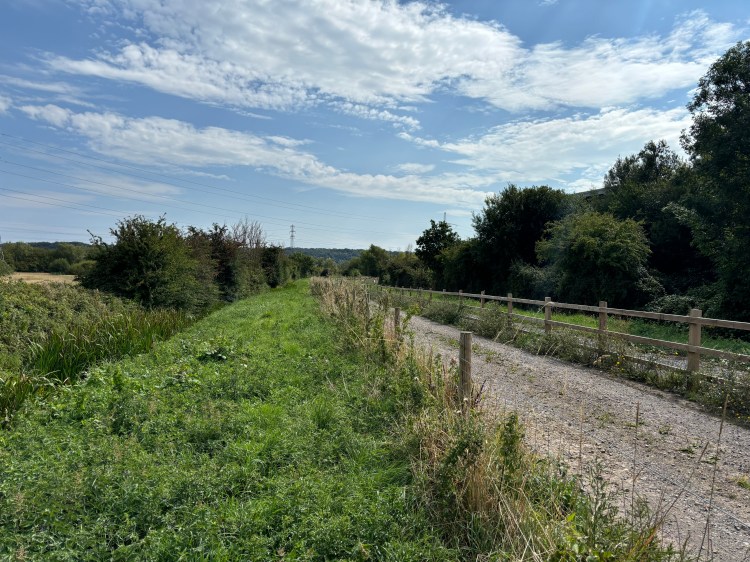 The grassy bank off Moorhouse Lane